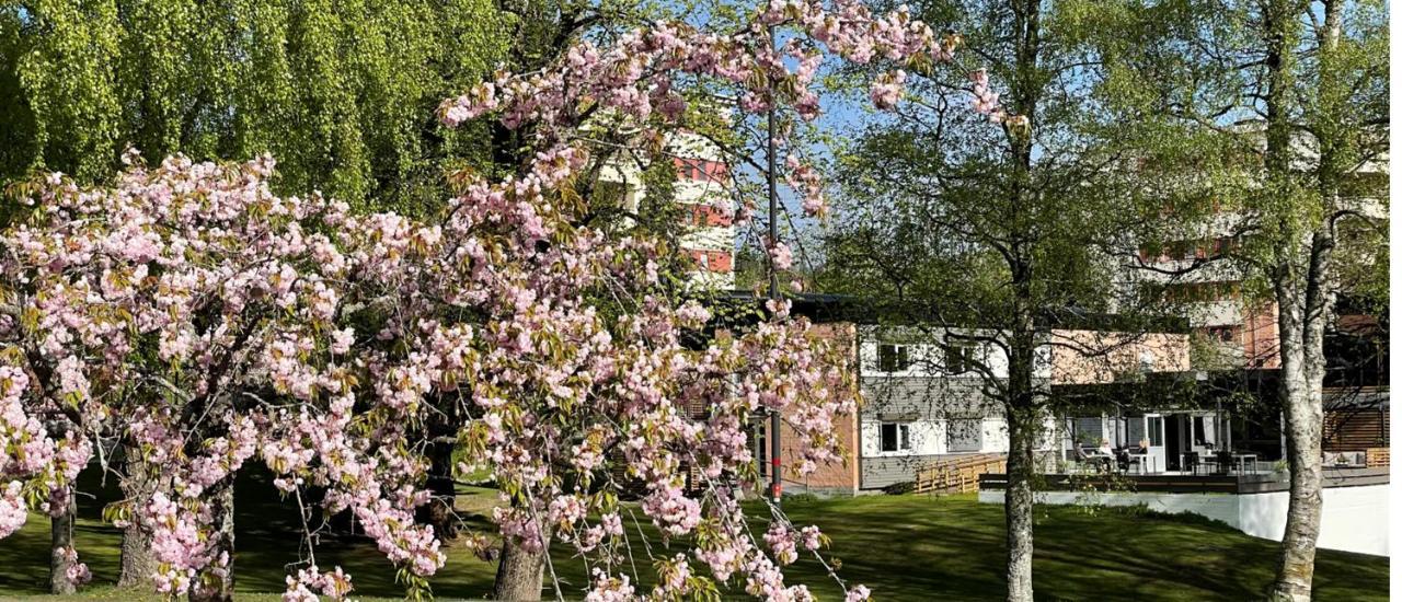 Emma Gjestehus Sandvika Exterior photo